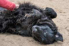 Augi says "That's the spot, Dad!"