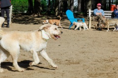 Nellie leaves the ball with Zen-like non-attachment.