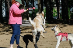 A controlled landing for Nellie.